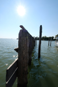 DSCF5870.JPG