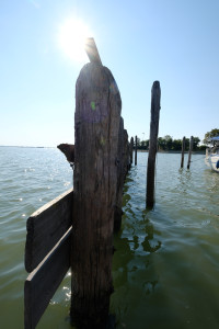 DSCF5871.JPG