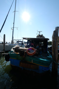 DSCF5873.JPG