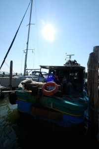 DSCF5874.JPG