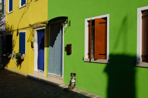 DSCF5875.JPG