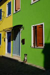 DSCF5876.JPG
