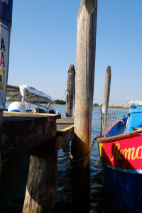 DSCF5886.JPG