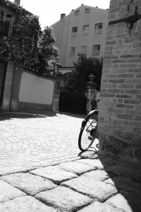 DSCF5908.JPG
