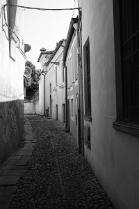 DSCF5911.JPG