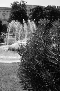 DSCF5931.JPG