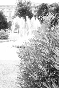 DSCF5932.JPG