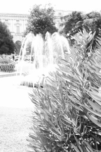 DSCF5934.JPG