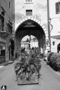 DSCF5962.JPG