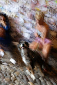 DSCF5980.JPG