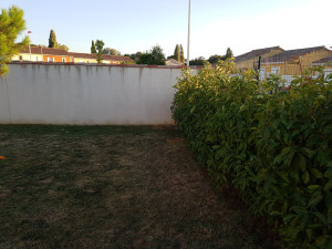 20170820_200342.jpg