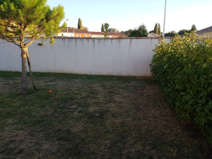 20170820_200343.jpg