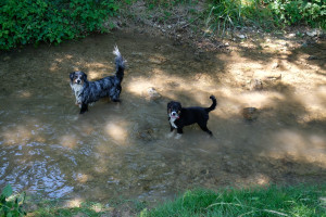 DSCF5006.JPG