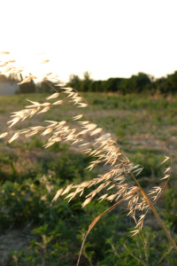 DSCF5053.JPG