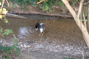 DSCF5061.JPG