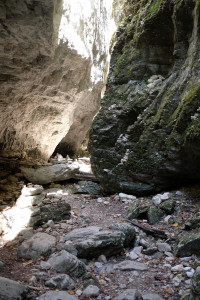 DSCF6084.JPG