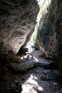DSCF6085.JPG