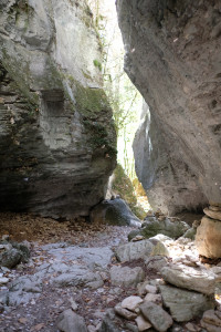 DSCF6086.JPG