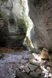 DSCF6087.JPG