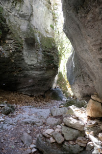 DSCF6088.JPG