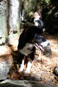 DSCF6091.JPG