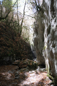 DSCF6092.JPG