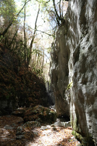 DSCF6093.JPG
