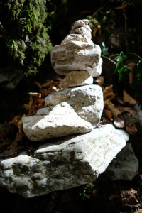DSCF6096.JPG