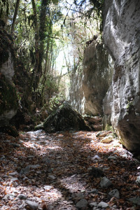 DSCF6097.JPG