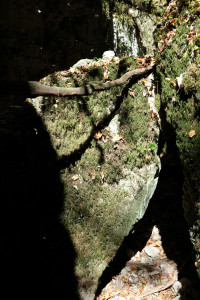 DSCF6098.JPG