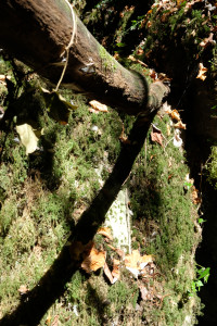 DSCF6101.JPG