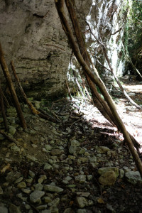 DSCF6103.JPG
