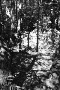 DSCF6108.JPG