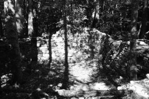 DSCF6114.JPG