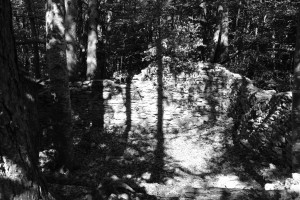 DSCF6115.JPG