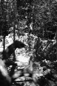 DSCF6118.JPG