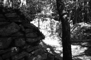 DSCF6119.JPG