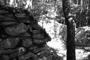 DSCF6120.JPG