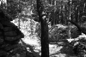 DSCF6121.JPG