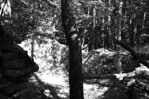 DSCF6122.JPG