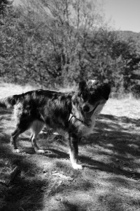 DSCF6124.JPG