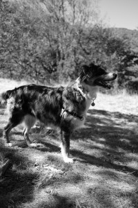 DSCF6125.JPG