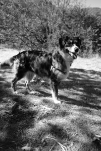 DSCF6126.JPG