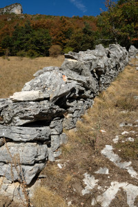DSCF6132.JPG