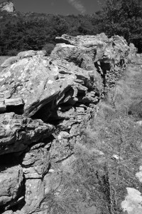 DSCF6135.JPG