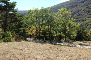 DSCF6137.JPG