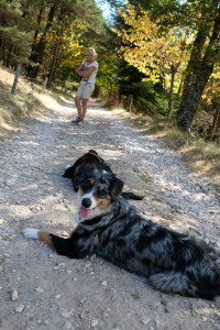 DSCF6138.JPG