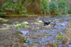DSCF6148.JPG