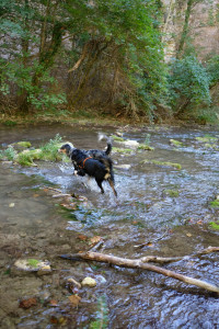 DSCF6151.JPG
