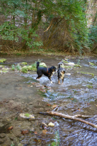 DSCF6152.JPG